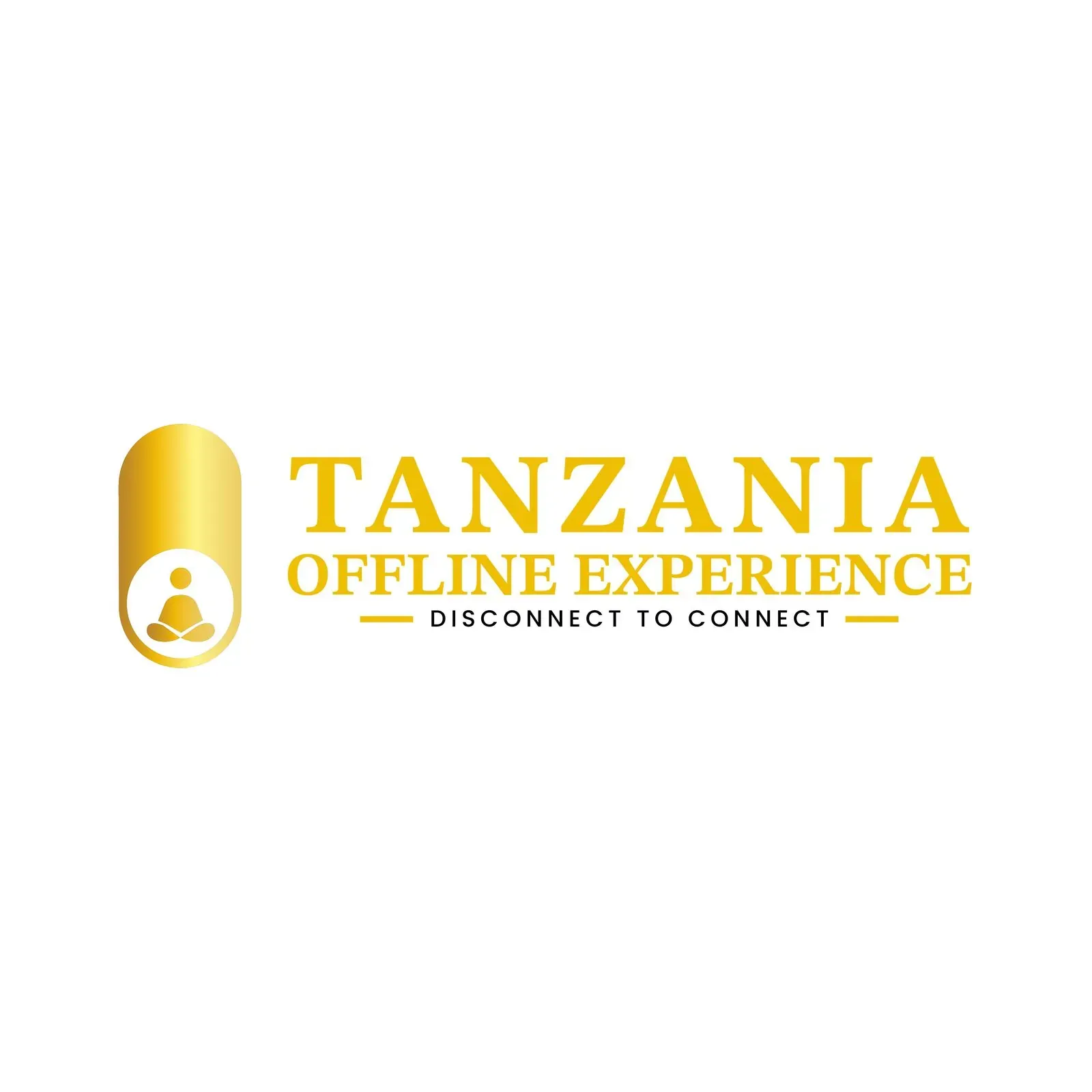 Tanzania Offline Experience brand identity, image 1