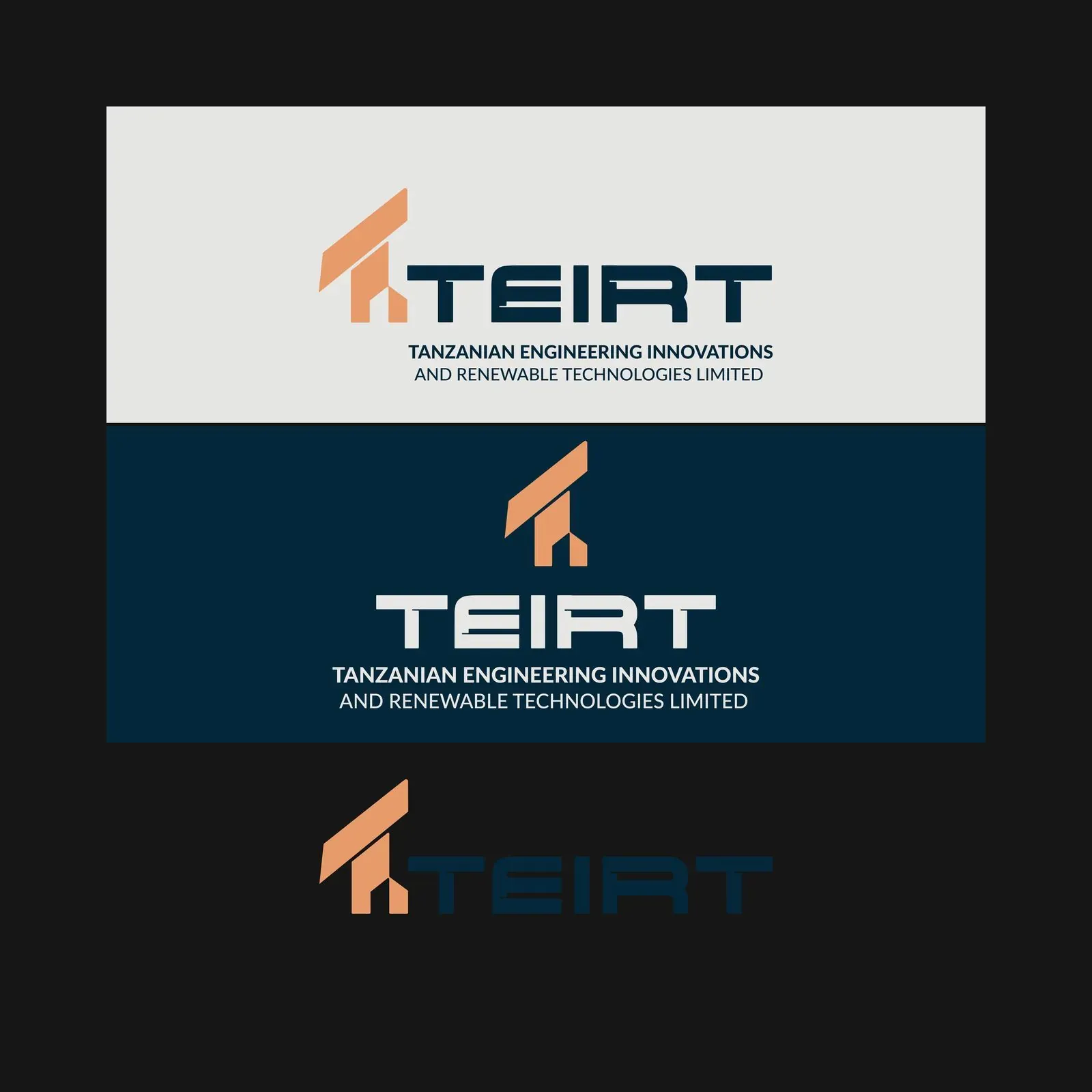 TEIRT brand identity, image 2