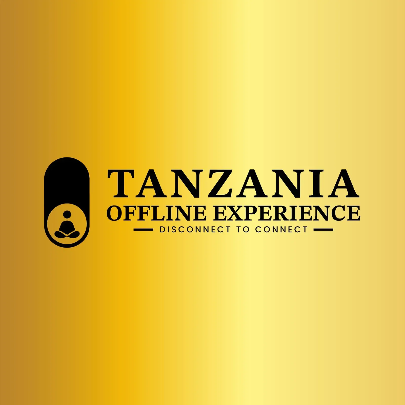 Tanzania Offline Experience brand identity, image 2