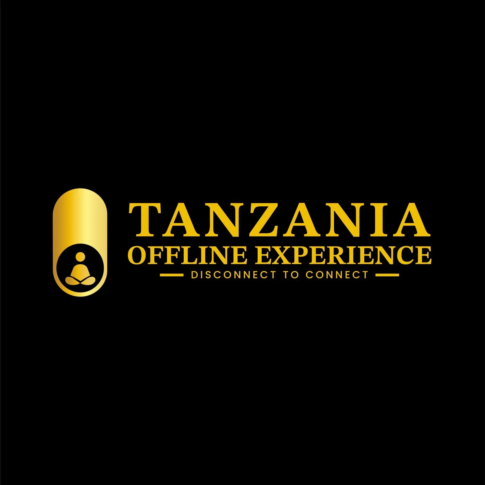 Tanzania Offline Experience brand identity, image 3