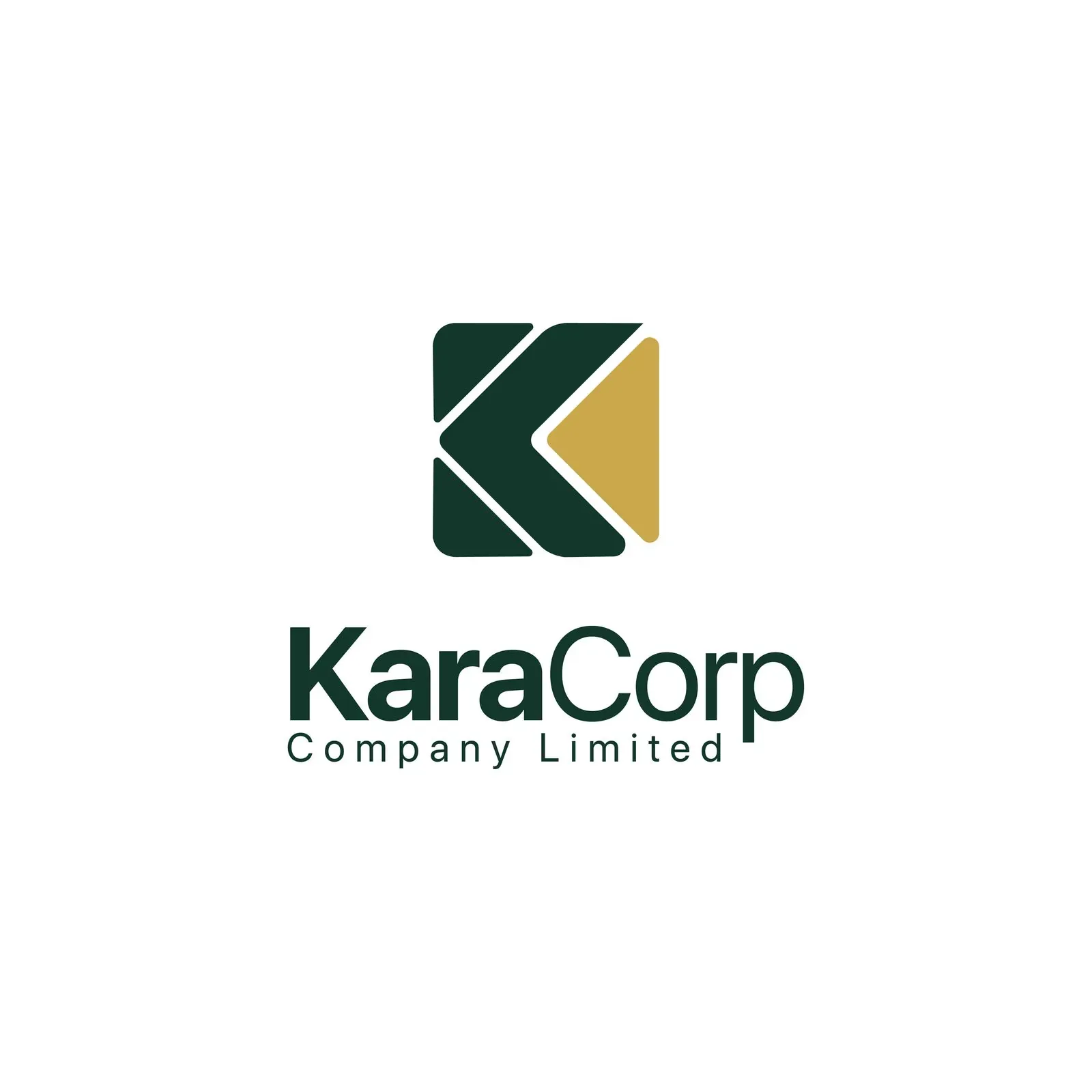 KaraCorp brand identity, image 4