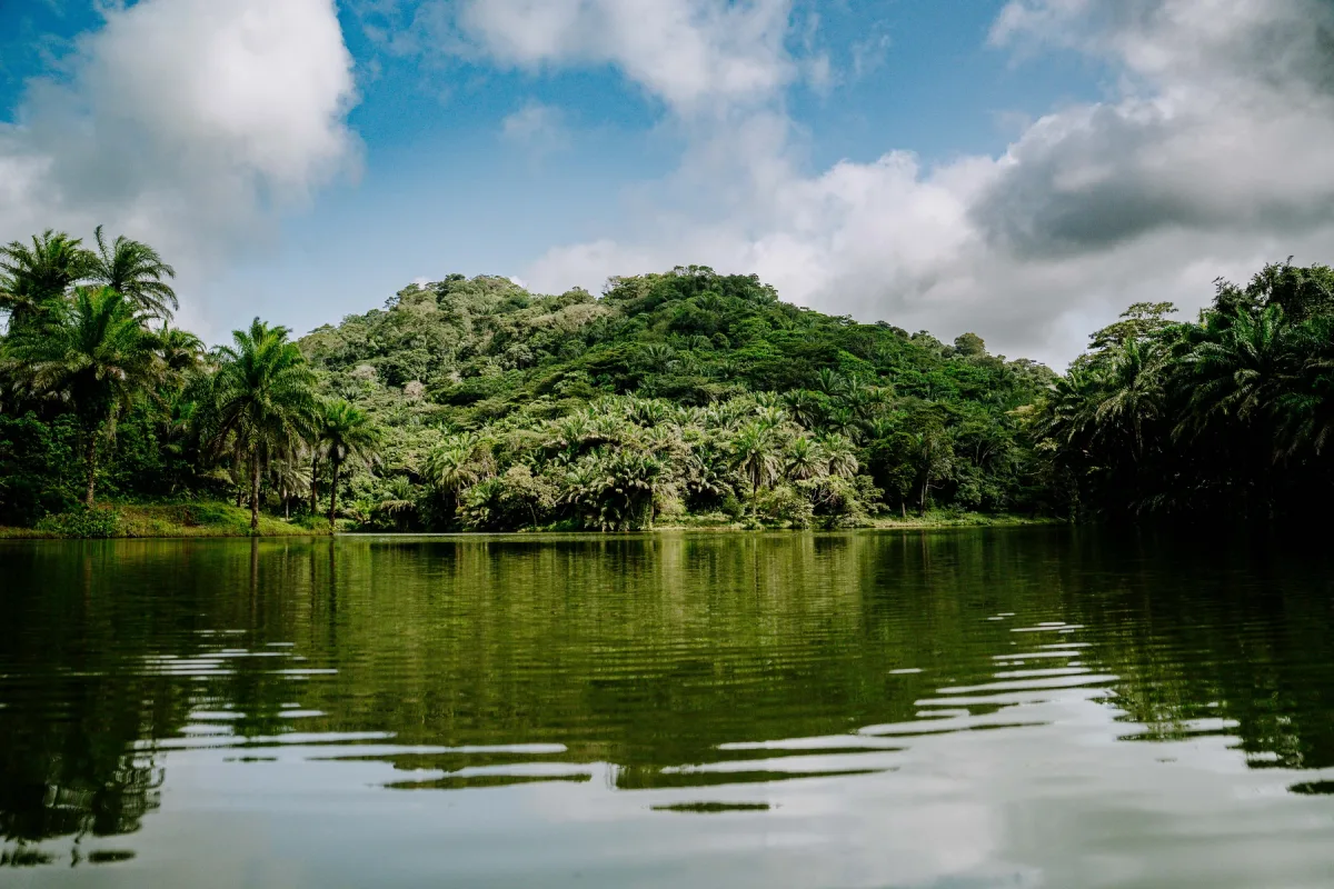 Palm trees and lush green hills reflected in the still water of Magoroto lake